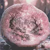 Diamond Painting -DIY Round Drill Rose Quartz Garden(40x40cm)