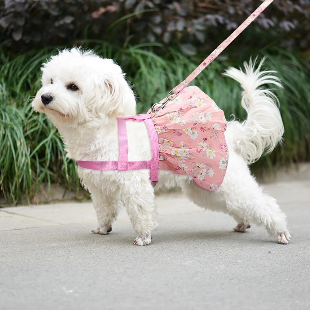 Floral Printed Adjustable Harness Dress Leash Set