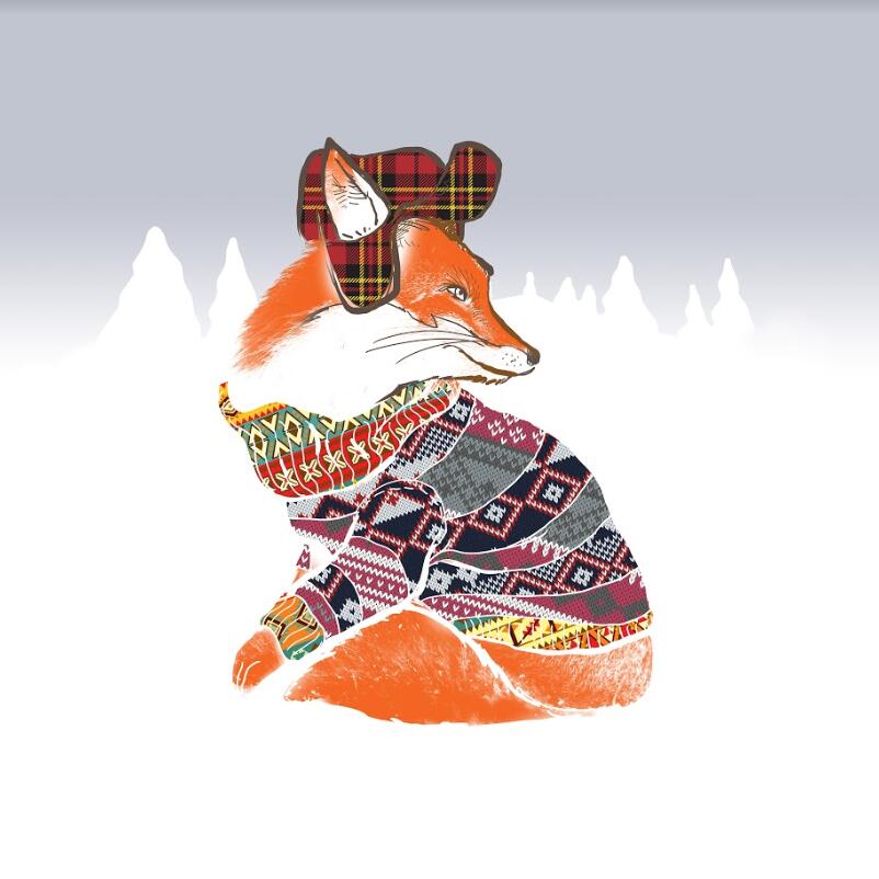 

Fox In Winter Clothes – Paint By Numbers - 40*50CM, 501 Original