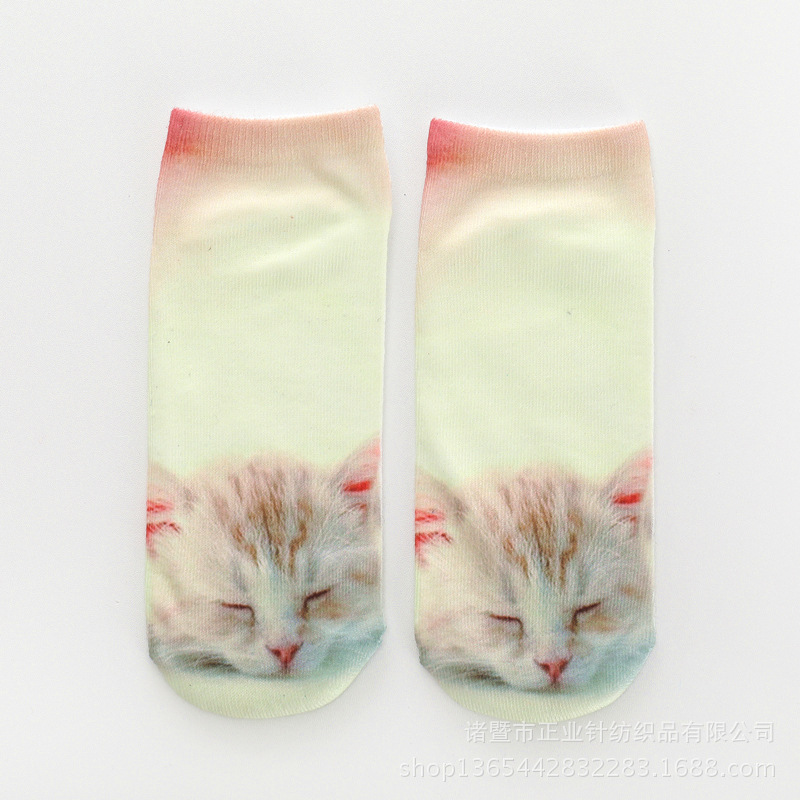 Unisex 3D Cat Print Socks / [blueesa] /