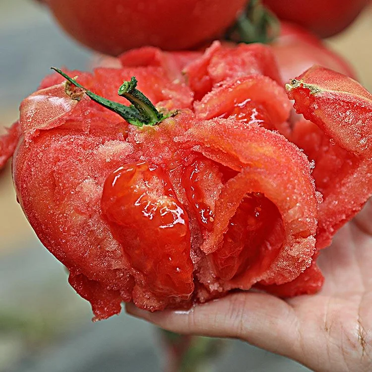 Soft Powder Tomato Seeds🍅