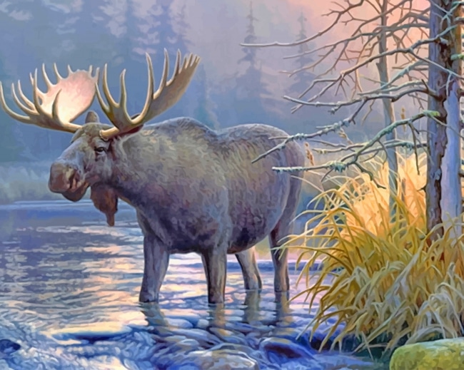 

Wildlife Lake Moose – Paint By Numbers - 40*50CM, 501 Original