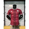 2026 Player Version Qatar Soccer Jersey Home