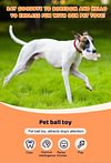Squeaky Dog Toy Balls, Floating Dog Pool Balls, Dog Spiky Balls, Interactive Fetch Toys for Puppy, Dog Chew Toys for Boredom, for Small Medium and Large Dogs