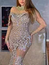 Sequinned Crochet Split-Joint Long Sleeves Mermaid Evening Dress