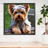 Diamond Painting-DIY Full Round Drill Dog