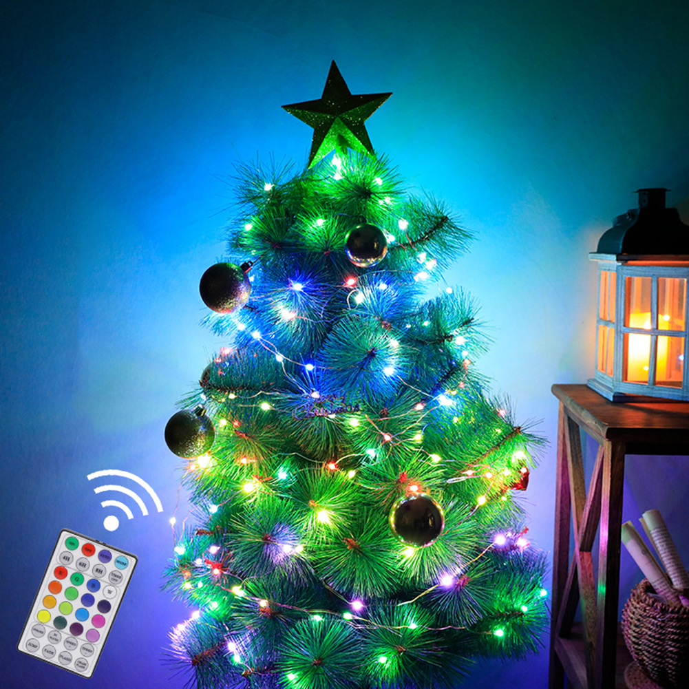 

Remote Control LED Waterproof Fairy-Curtain String Night Light, 20m200led, 501 Original