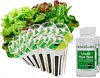 Heirloom Salad Vegetables Greens Mix Seed Pod Kit