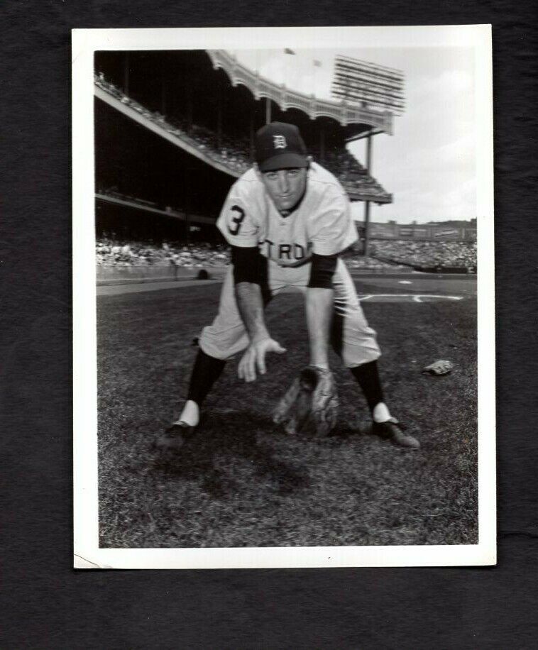 Dick McAuliffe 1960's Type I Louis Requena Press Original Photo Poster painting Detroit Tigers