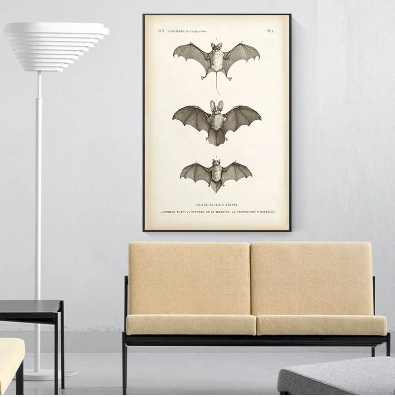 Vintage Bat Print Halloween Wall Art Canvas Painting Antique Bat Animal Poster Wall Picture for Living Room Home Decoration