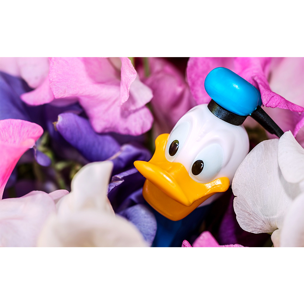 

Cartoon Duck - 1000 Pieces Jigsaw Puzzle, 501 Original