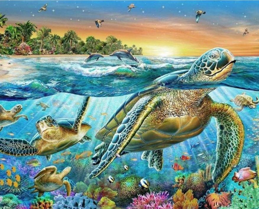 Animal Turtle Paint By Numbers Kits UK For Adult HQD1269