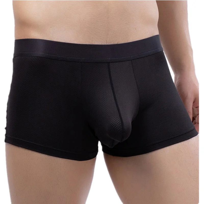 Aonga  Men Underwear Boxer Shorts Hombre Mesh Panties Man Solid Comfortable U Convex Pouch Underpants Male Trunks Cueca Masculina
