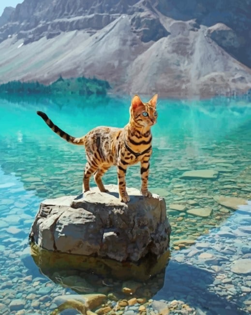 

Bengal Cat In A Geographical Beauty Seascape – Paint By Numbers - 40*50CM, 501 Original
