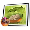uk.everydayedeals (Limited Stock)Diamond Painting - Full Square - Sleeping Rabbit(40*50cm)