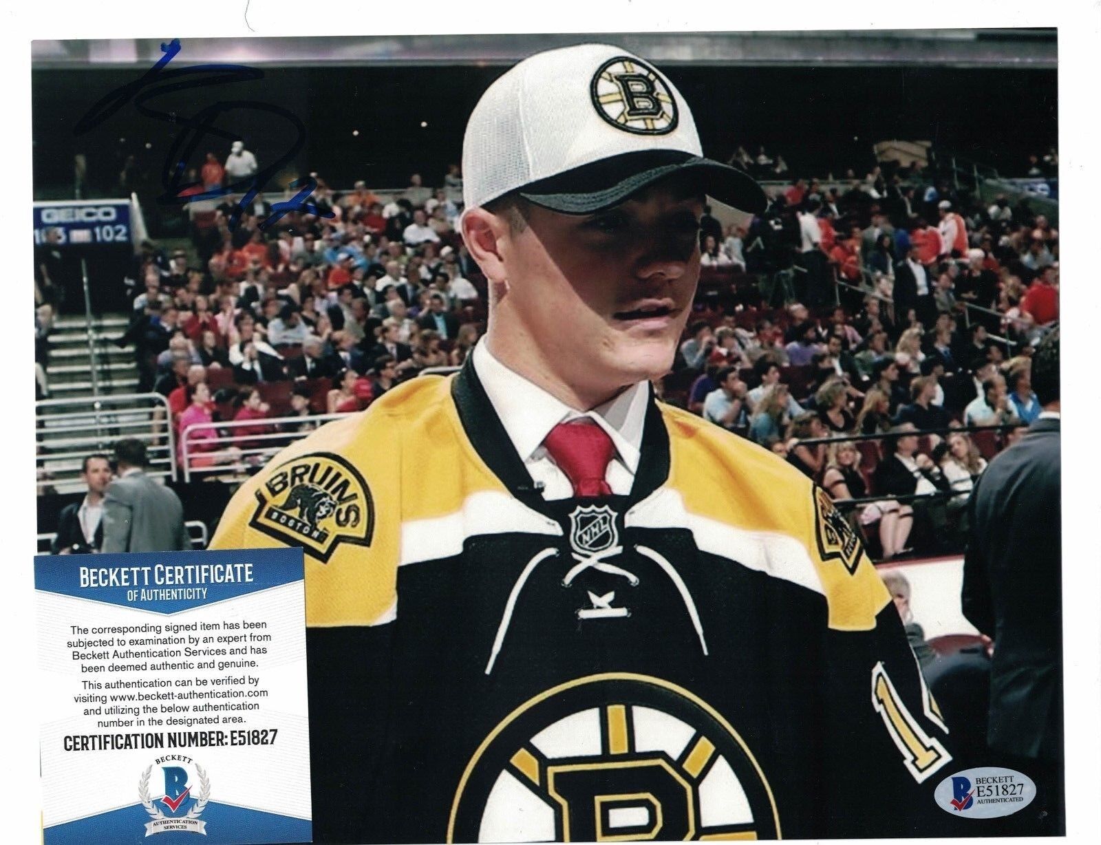 Ryan Donato Boston Bruins Draft Signed 8 x 10 Photo Poster painting BAS Beckett Certified