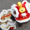 Pet Hoodie Coat Winter Warm Clothes Funny Dragon Dance