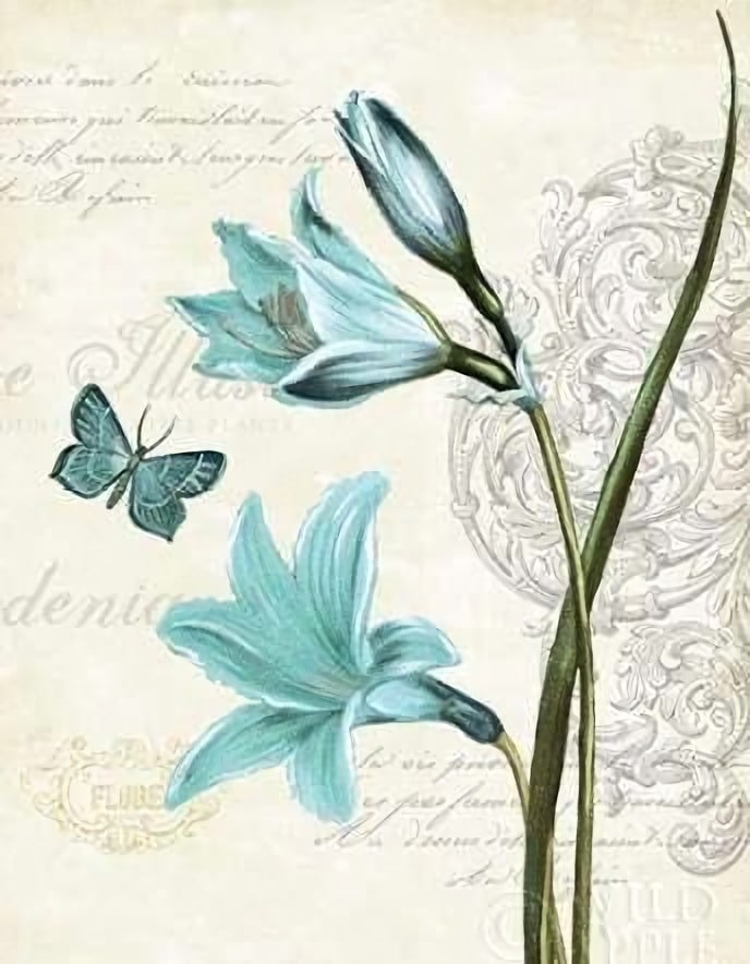 

Blue Butterfly Flower – Paint By Numbers - 40*50CM, 501 Original
