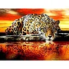 Best lowest diamond painting - Coodeals diamond painting