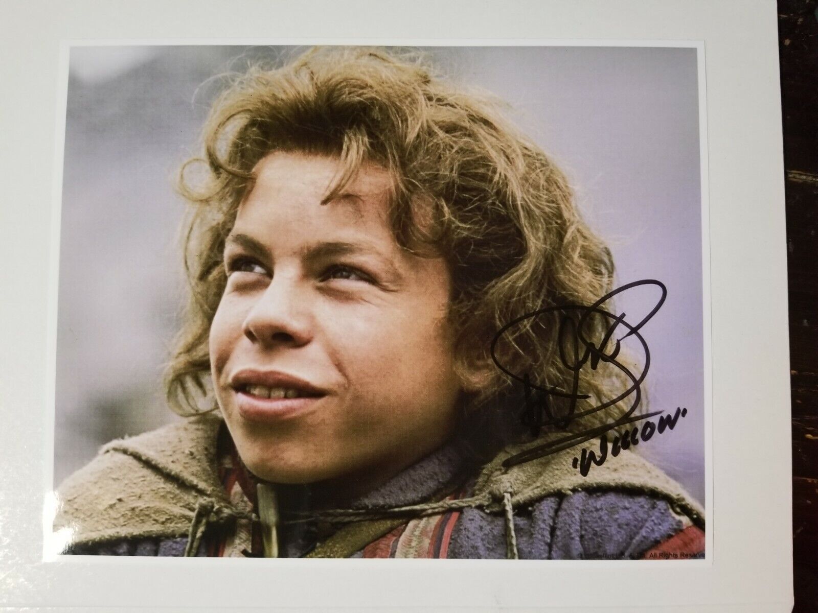 Willow Signed 8x10 Photo Poster painting RP -  Shipping!! Warwick Davis