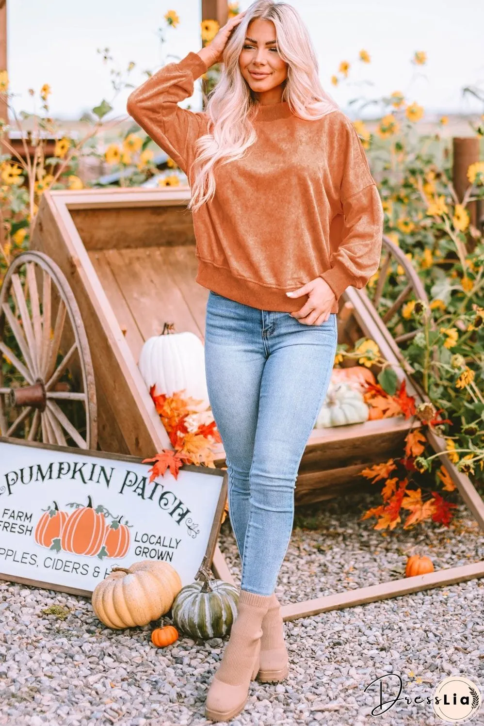 Stylish Crew Neck Pullover Sweater