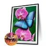 Best lowest diamond painting - Coodeals diamond painting