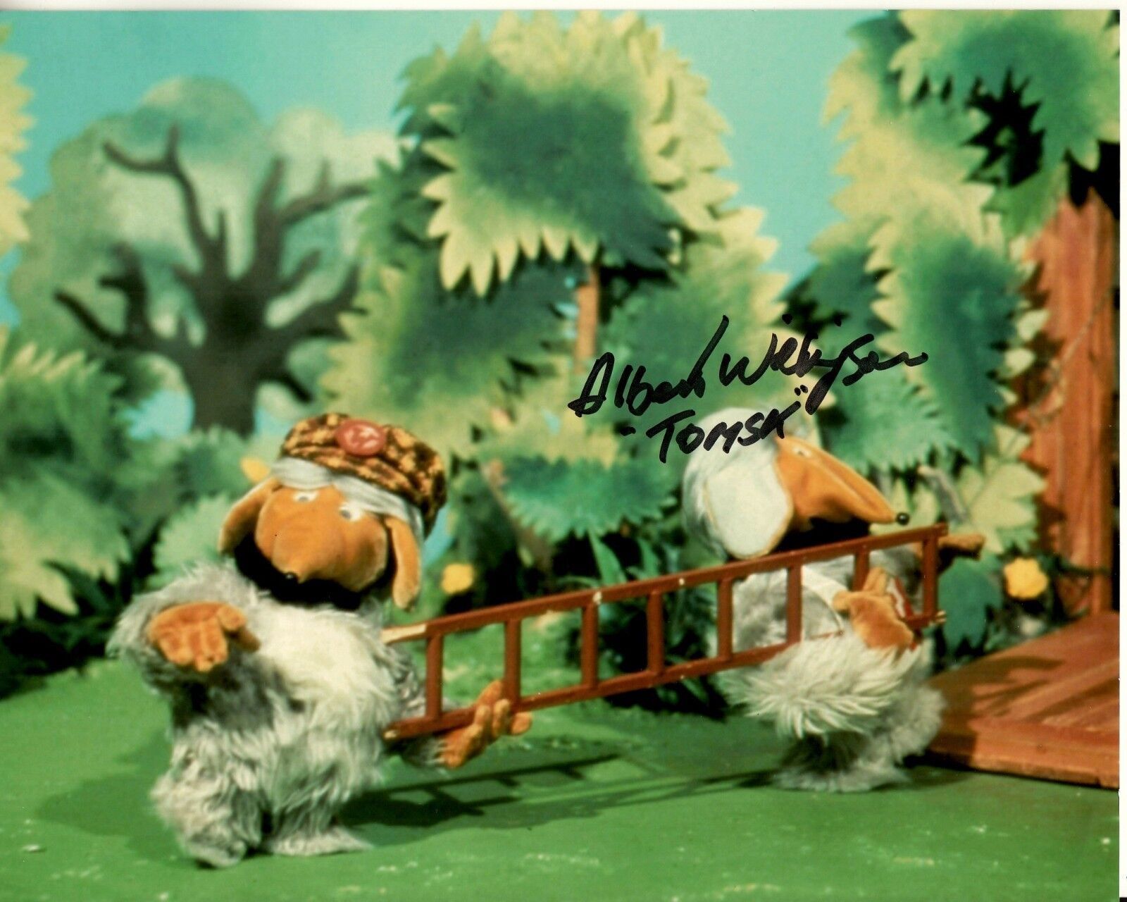 ALBERT WILKINSON hand-signed WOMBLING  8x10 color animation w/ UACC RD COA