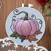 Pumpkin-Embroidery Kit