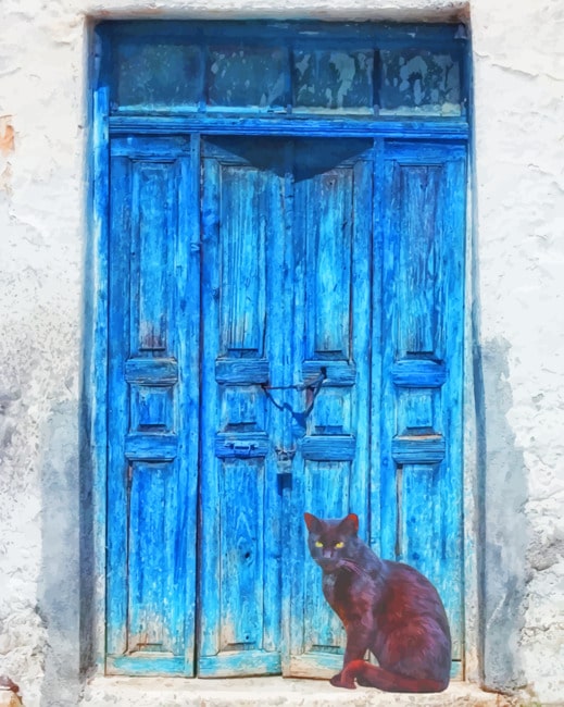 

Black Cat – Paint By Numbers - 40*50CM, 501 Original