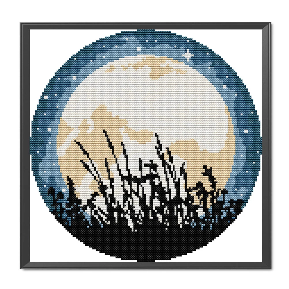 14CT Partial Printed Cross Stitch - Moon(31*31cm)