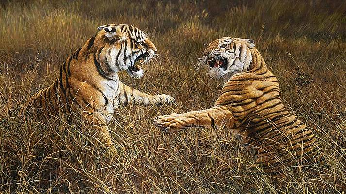 Two Tigers 40*70CM(Canvas) Full Round Drill Diamond Painting gbfke