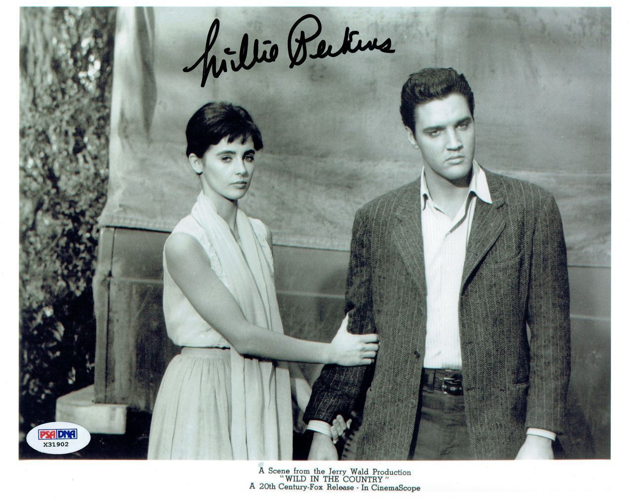 Millie Perkins Signed Wild in the Country Autographed 8x10 Photo Poster painting PSA/DNA COA