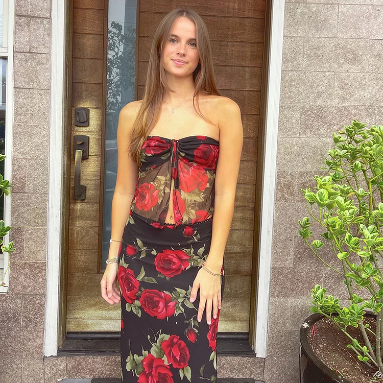 Fashion Mesh Printed Tube Top Mid-length Dress Two Piece Set