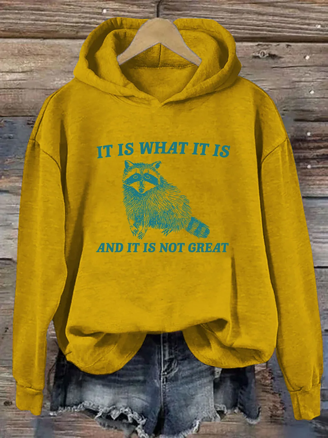 It Is What It Is And It Is Not Great Hoodie