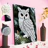(30x40cm)DIY Pearl Painting Framed Owl  Handmade Pearl Material Art Kit Living Room Decor