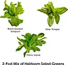 Heirloom Salad Vegetables Greens Mix Seed Pod Kit