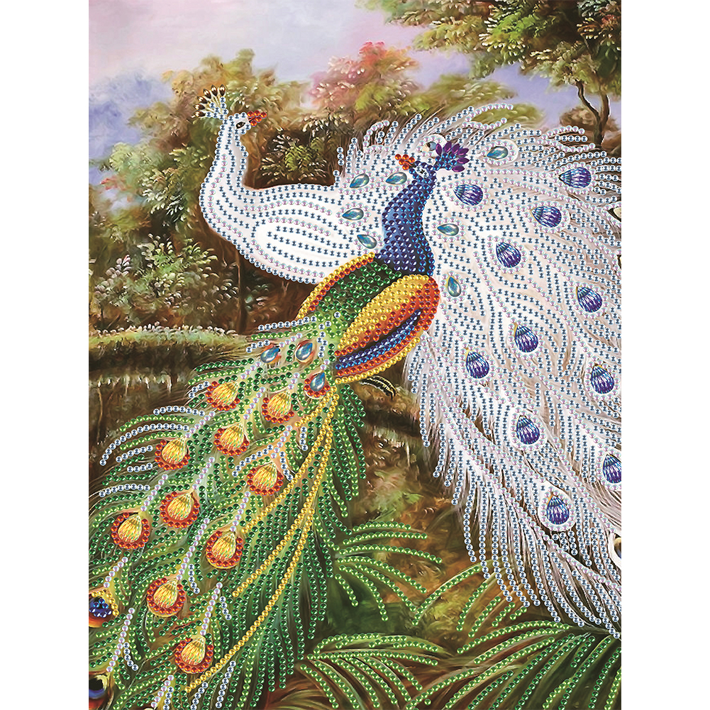 

Peacock - Special Shaped Diamond Painting - 30*40CM, 501 Original