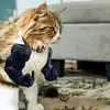 Cat Muscle Arm 3D Printed Neck Arm with Muscle Pet Cosplay Costume Accessories