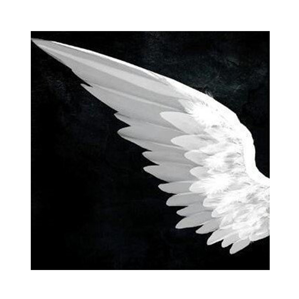 

Angel Wing - Round Drill Diamond Painting - 40*40CM, 501 Original