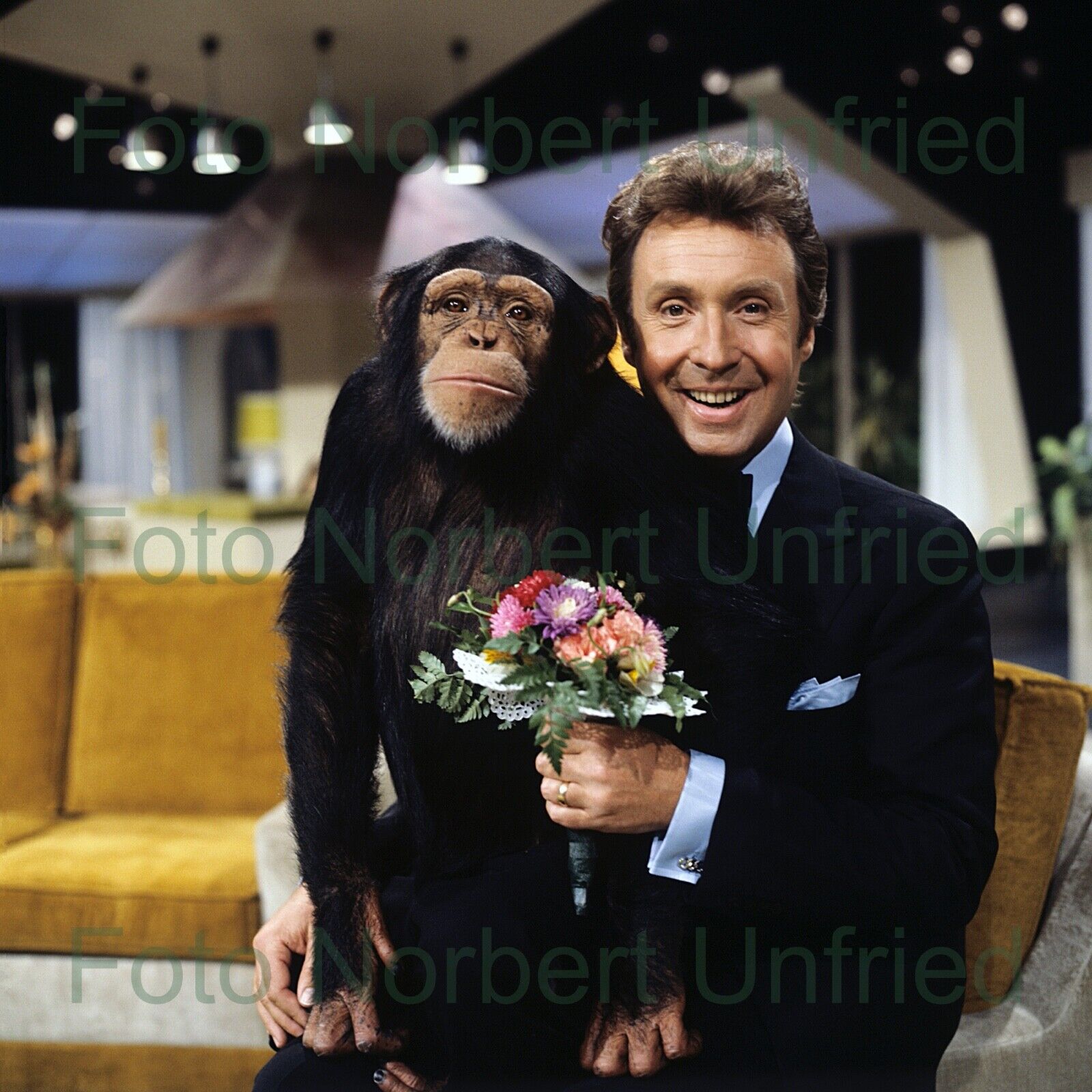 Peter Alexander - Chimpanzee Photo Poster painting 13 X 13 CM (Picture 496