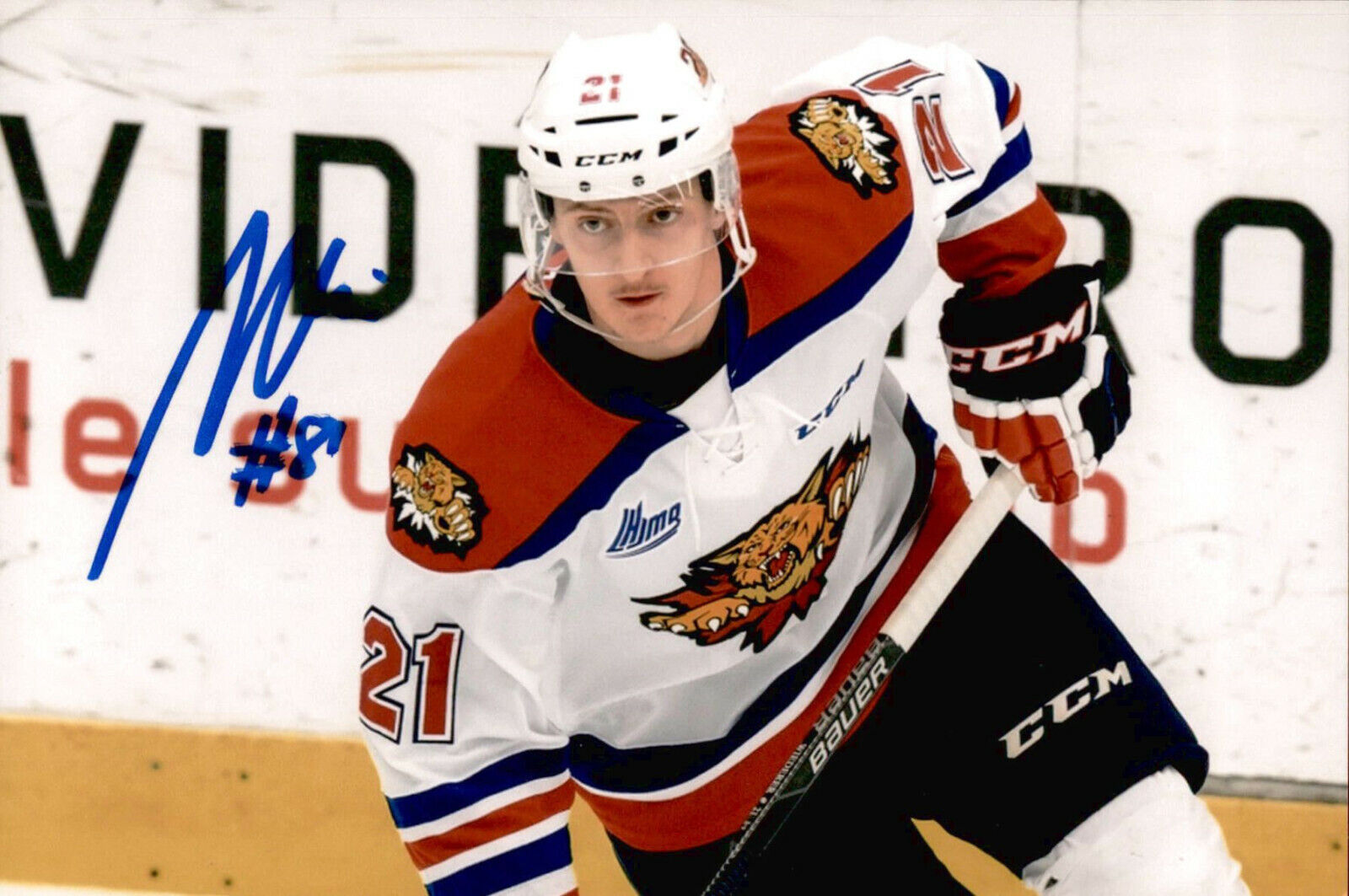 Manuel Wiederer SIGNED 4x6 Photo Poster painting MONCTON WILDCATS / SAN JOSE SHARKS