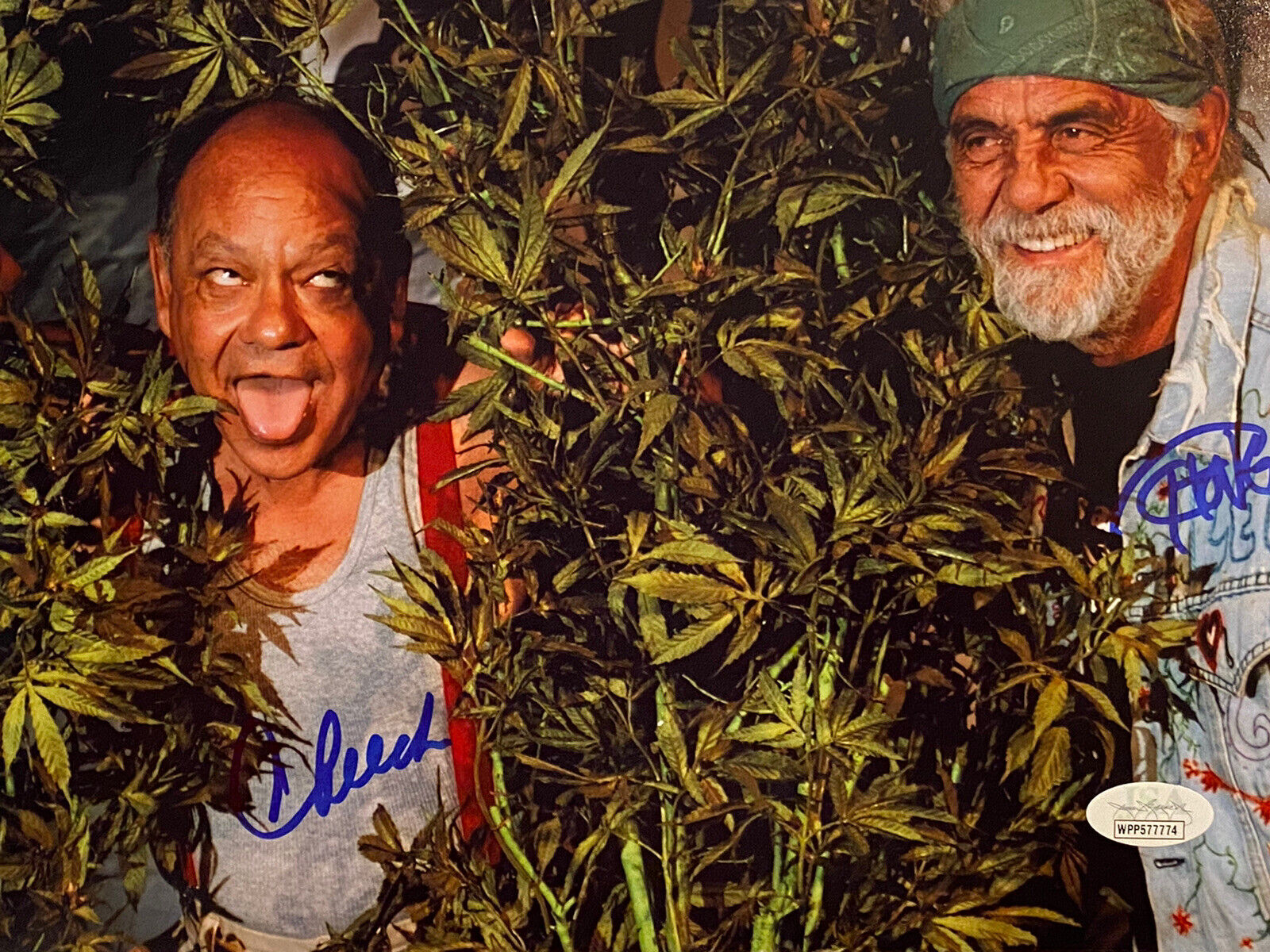 Cheech and Chong Autograph 8x10 Photo Poster painting Signed JSA COA Stoner, weed,