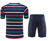 2024 France pre-match training Color Pattern Shirt+Shorts 1:1 Thai Quality