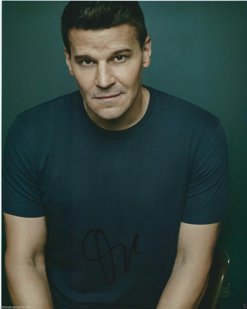 David Boreanaz Autograph Signed Photo Poster painting Print