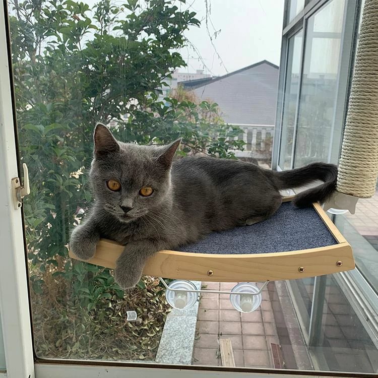 Cat Window Perch Cat Hammock Window Seat with Strong Suction Cups Window Mounted Cat Bed for Indoor Cats 1