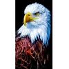 Diamond Painting-DIY Full Round Drill Eagle(40*70CM)