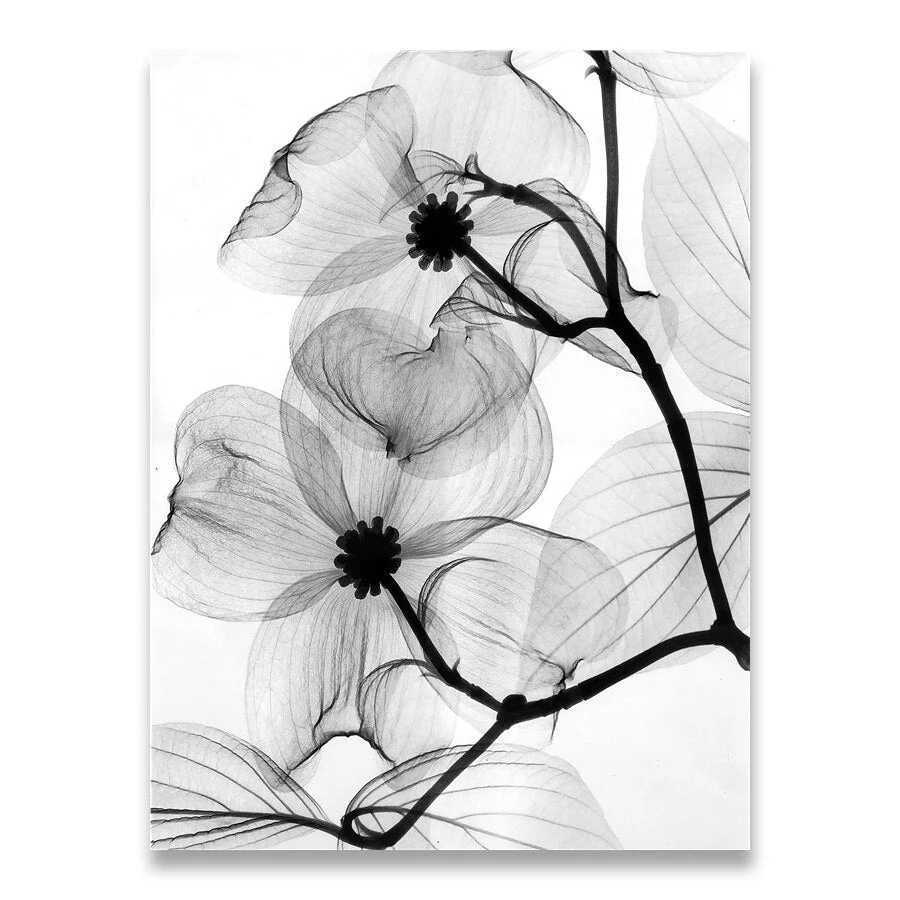 Nordic Black White Plant Abstract Flower Canvas Posters Canvas Prints Minimalist Wall Art Painting Decorative Picture Home Decor