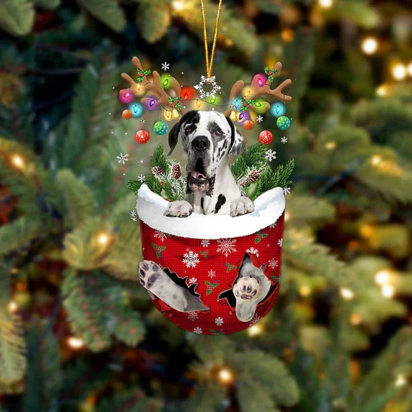Great Dane 2 In Snow Pocket Christmas Ornament.