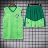 2024/2025 Palmeiras pre-match training Cyan-Blue Jersey+Shorts 1:1 Thai Quality