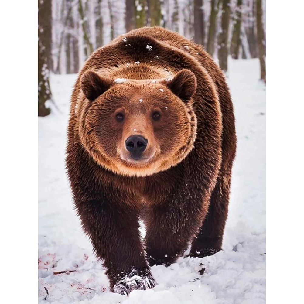 

Bear - Round Drill Diamond Painting - 30*40CM, 501 Original